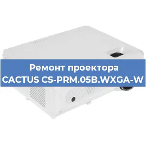Замена проектора CACTUS CS-PRM.05B.WXGA-W в Санкт-Петербурге